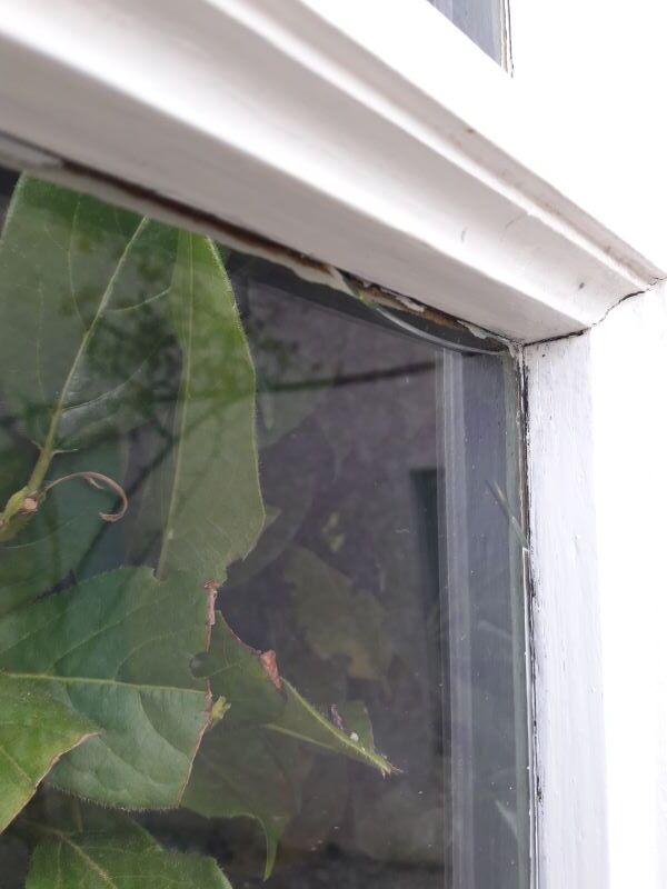 Oak arched bay window door H219xW267,5 small tiles