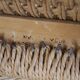 Serie de 4 chaises Niels Otto Moller