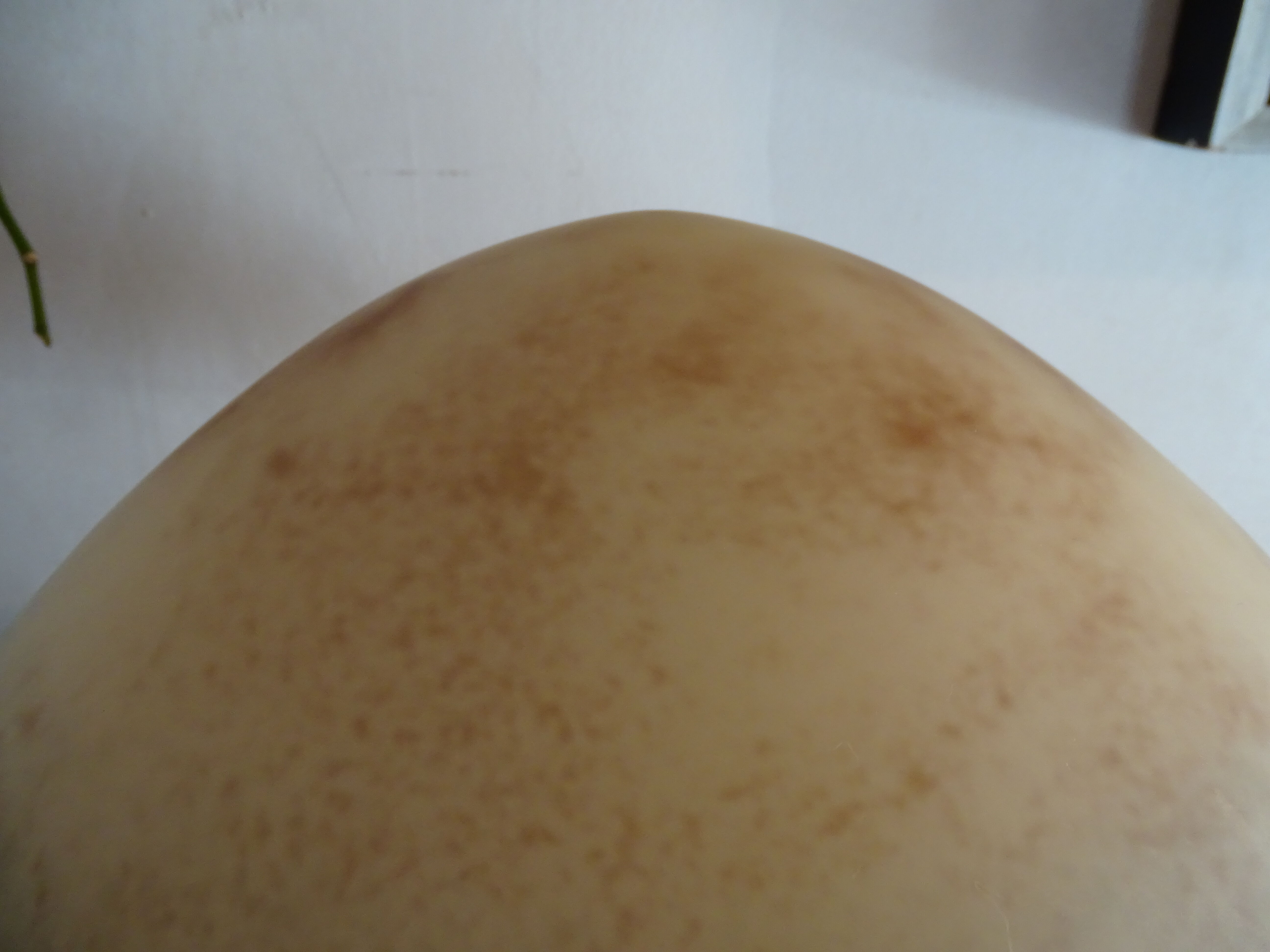 Mushroom lamp glass paste