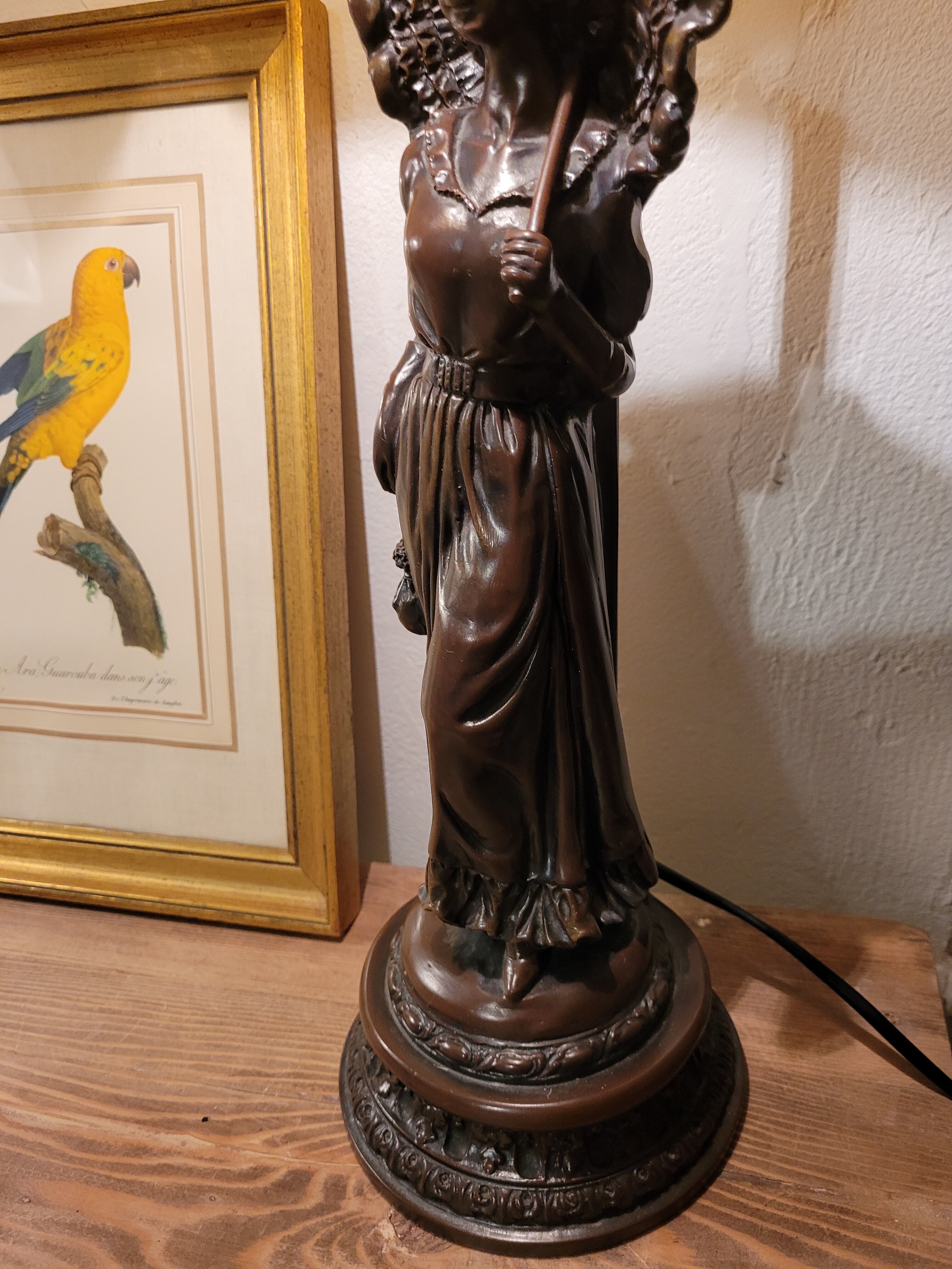 Yellow Macaw engraving