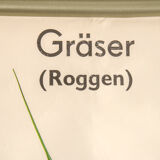 Affiche botanique Volk Und Wissen Volkseigener Verlag