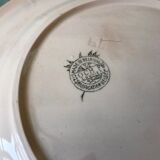 Set of 5 villeroy & boch pink asparagus plates in 50-60s