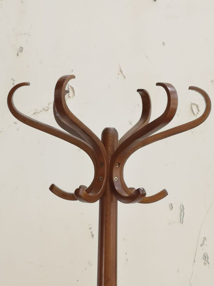 Baumann parrot coat holder