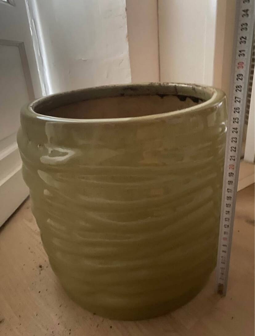 Large green designer flowerpot