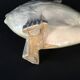 Salted Stoneware Sculpture, Art Deco - Roger Guerin "Fish" Circa 1925/1930