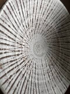 Glazed stoneware soup plate – textured radial decoration – wabi sabi style
