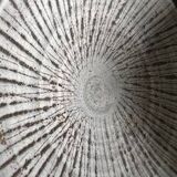 Glazed stoneware soup plate – textured radial decoration – wabi sabi style