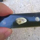 6 resin knife holders with shellfish inclusion year 60