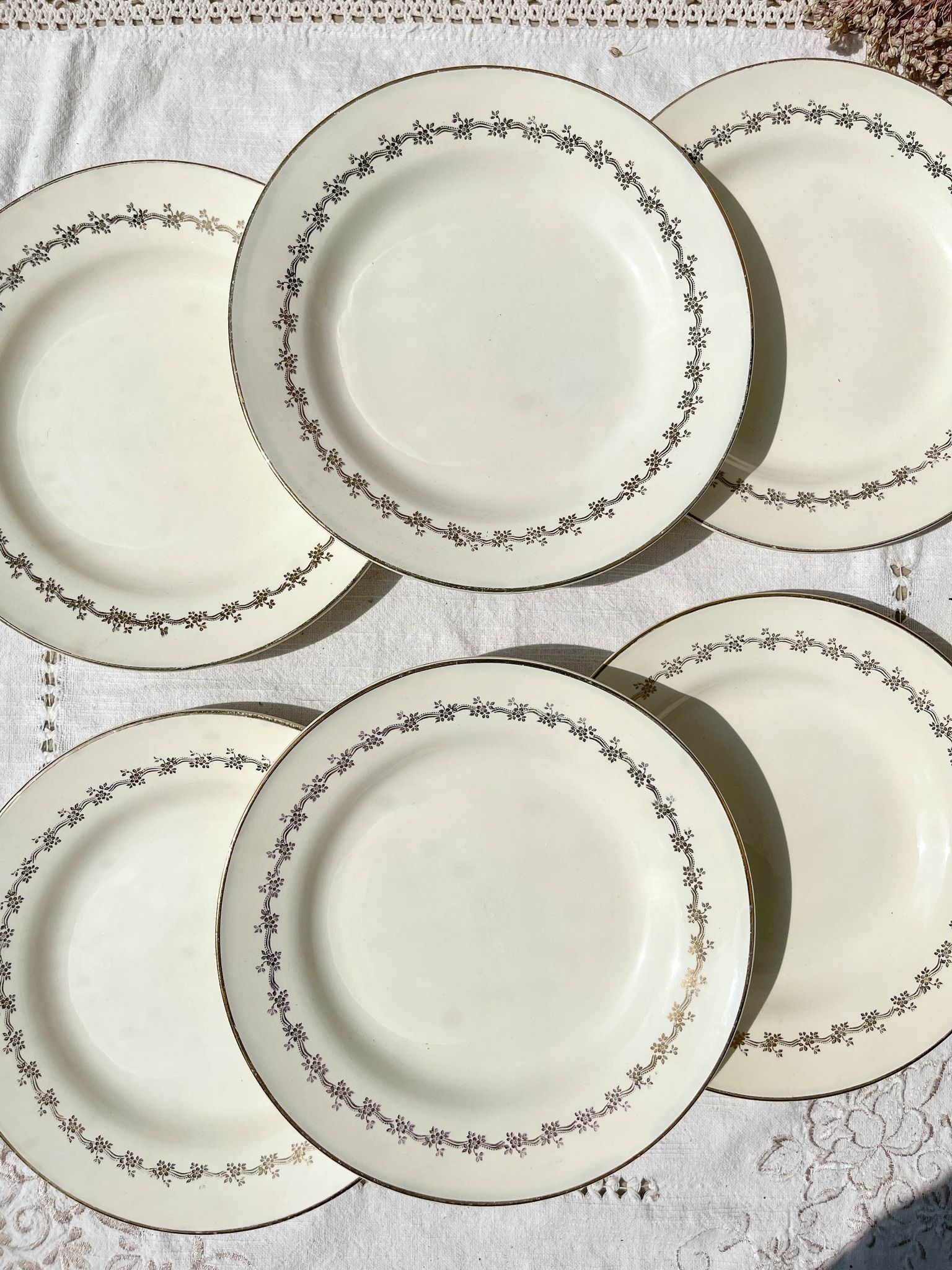 6 opaque porcelain dinner plates, Digoin model "Suzy"