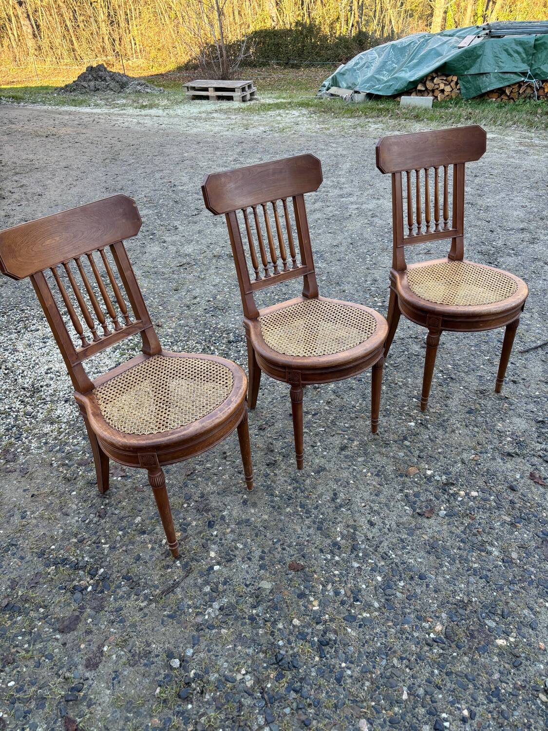 Cane chairs 1930