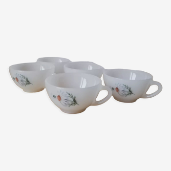 Set of 5 arcopal cup