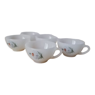 Set of 5 arcopal cup