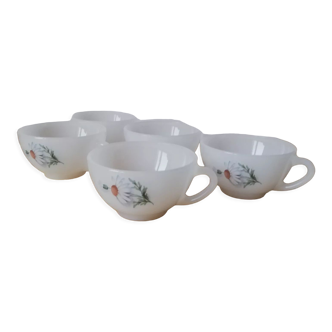 Lot de 5 tasses arcopal