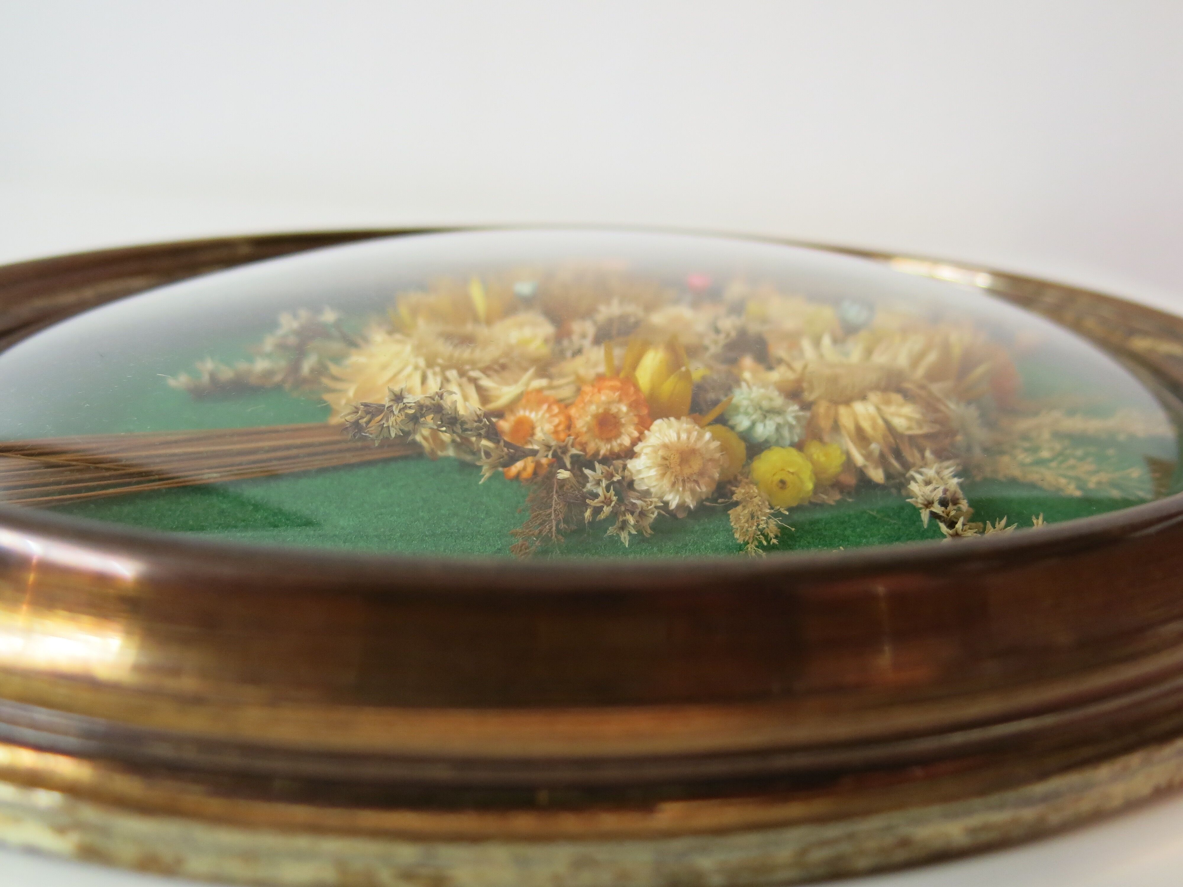 Domed glass frame with its bouquet of dried flowers