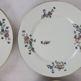 6 flat plates with cornflower decoration