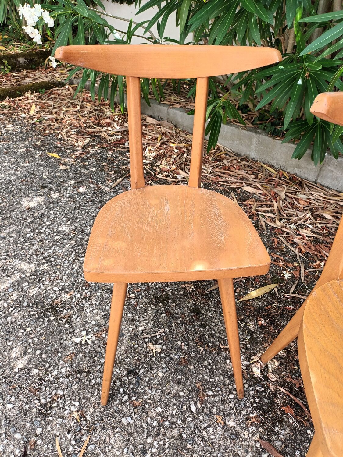 Antelope Chairs Stella Luterma