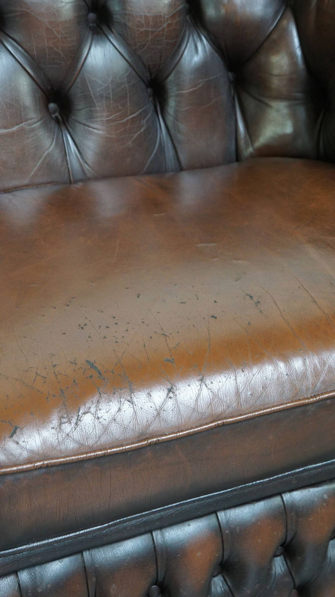 English Chesterfield 2.5 seater sofa in dark brown flamed cowhide leather