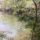 Landscape painting oil on canvas signed