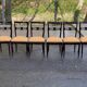 6 dining chairs made of solid mahogany in Regency style with yellow fabric.