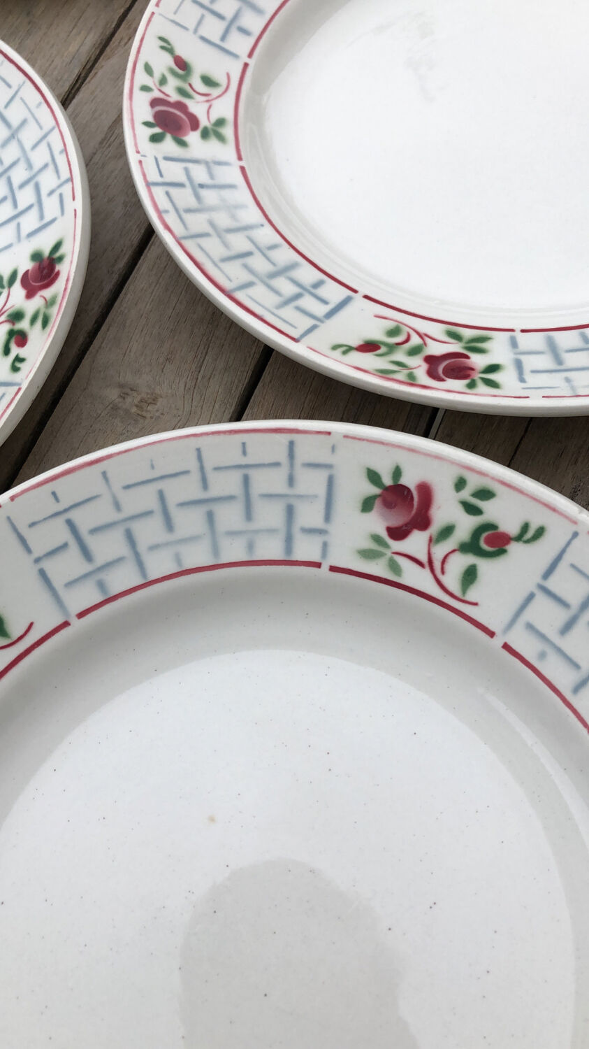 Ensemble de 7 assiettes plates christiane sarreguemines et digoin