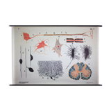Displays "Cell" published by Gerhard Gembke Berlin