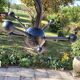 Desk peg from the 80s