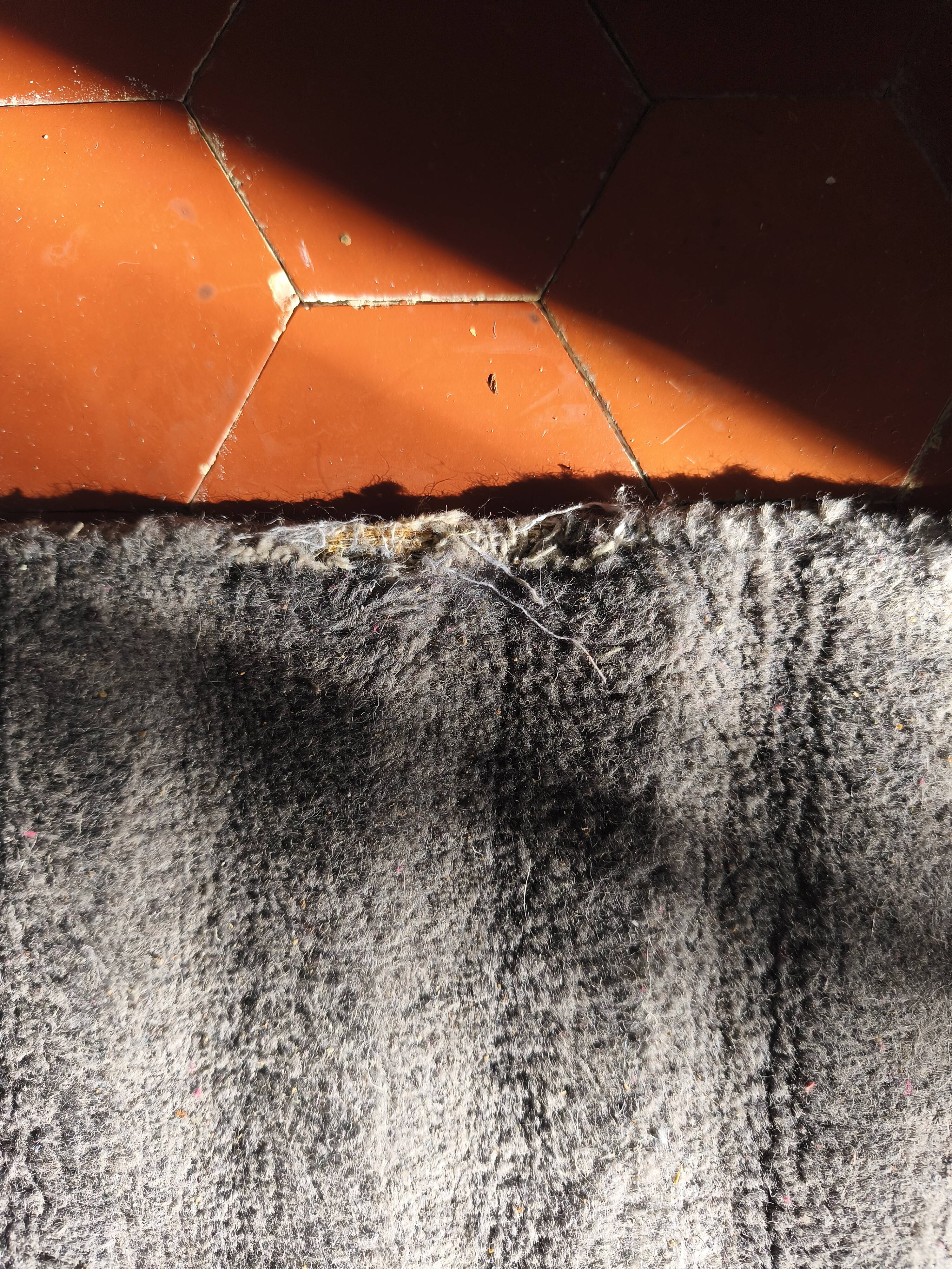 Habitat Wool Rug 240 x 170