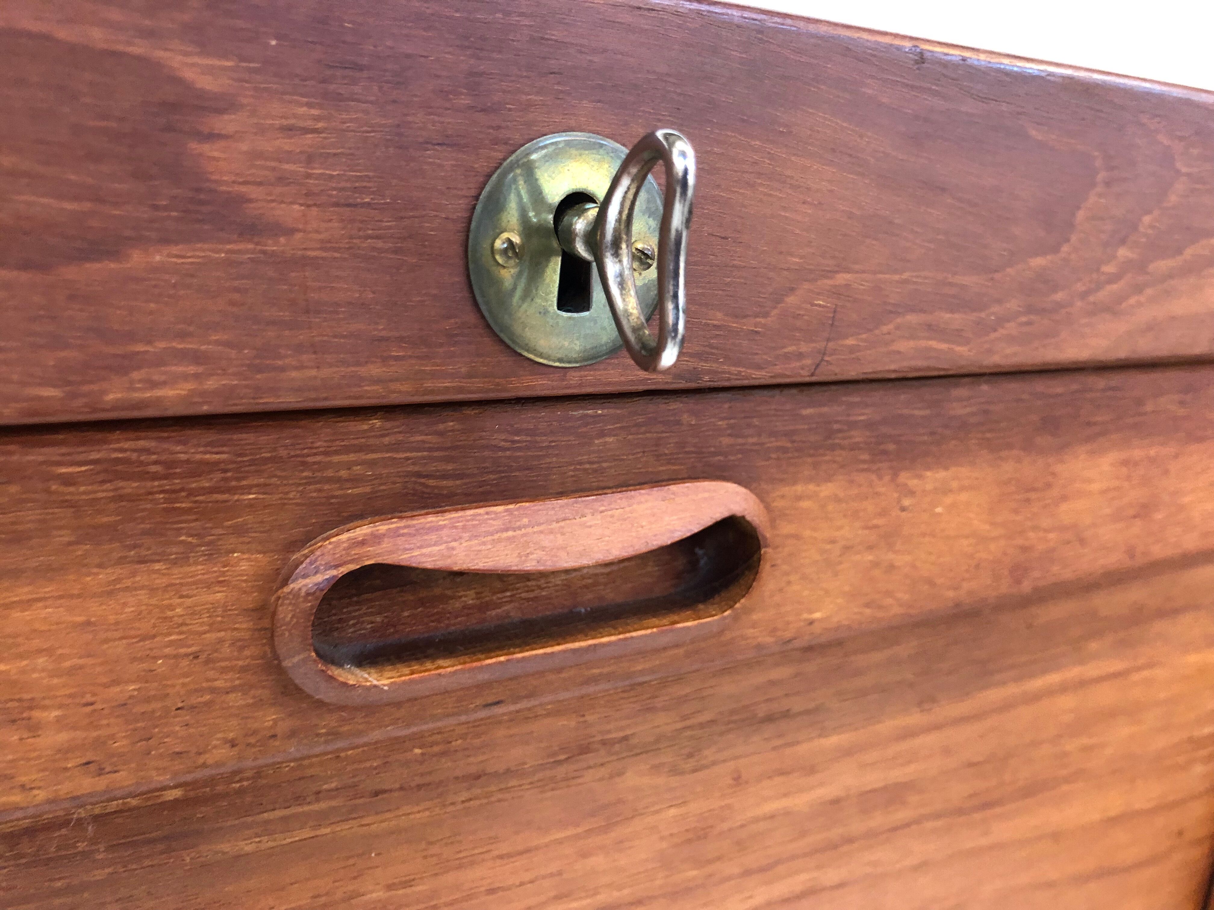 Vintage Danish design cabinet in teak veneer