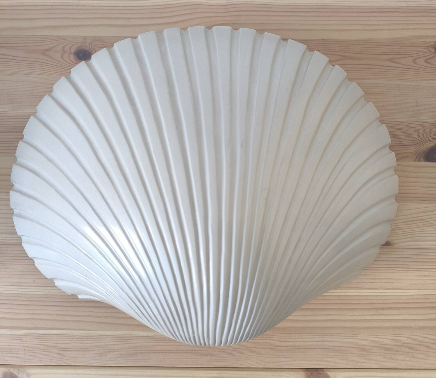 Pair of shell wall lights by Michèle Mahé, 1960s