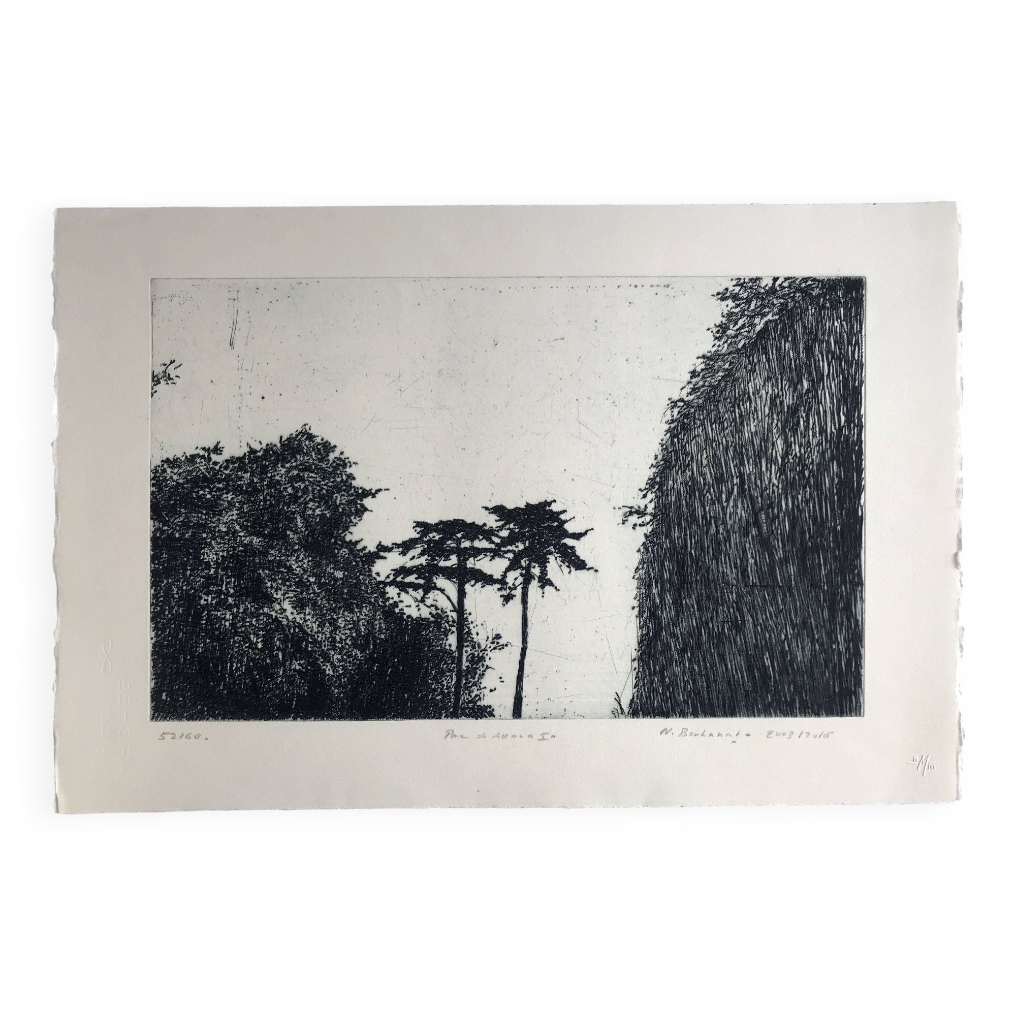 Nicole BOUHARMONT, Parc de Sceaux I, 2003-16. Drypoint signed in pencil