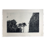 Nicole Bouharmont, Parc de Sceaux i, 2003-16. pointe sèche signée au crayon