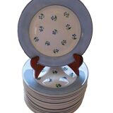 Flat plates Digoin Sarreguemines model Albe