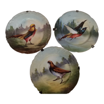 Set of 3 Limoges bird wall plates early 20th century