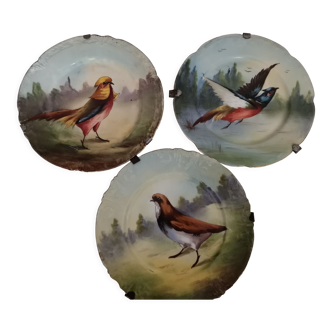 Lot de 3 assiettes murales Limoges oiseaux début XX ème siècle