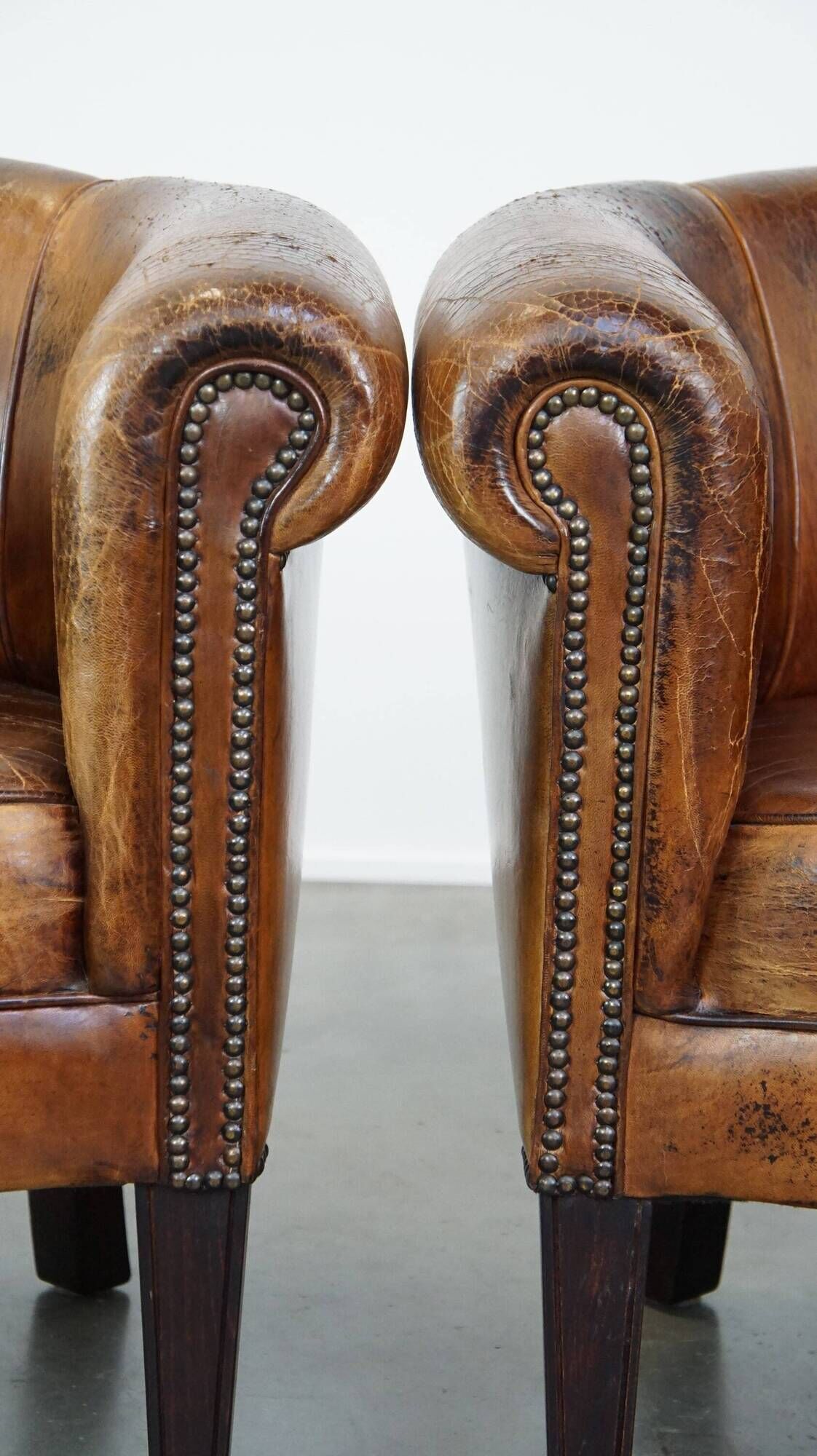 Set of 2 subtle, stately and sturdy club chairs made of sheepskin