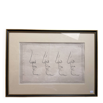 Old Print Engraving 19th Century Anatomy Nose Mouth Plate Head Morphology