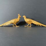 Couple of golden pheasants vintage decoration