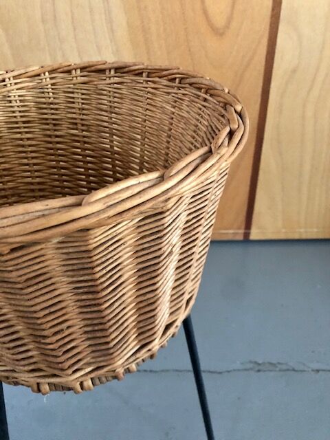 Wicker and wire plant holder