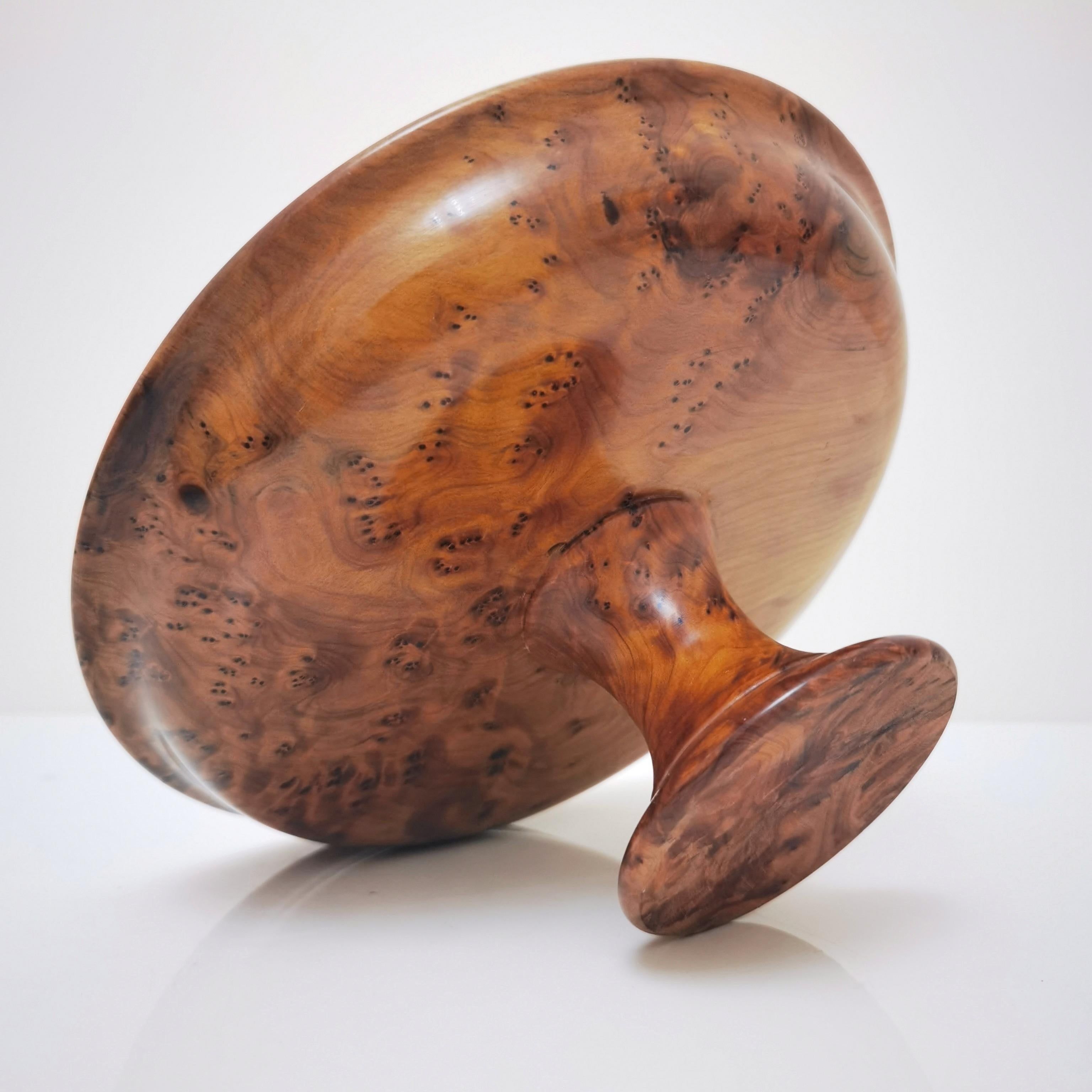 Tazza standing fruit cup in magnifying glass wood