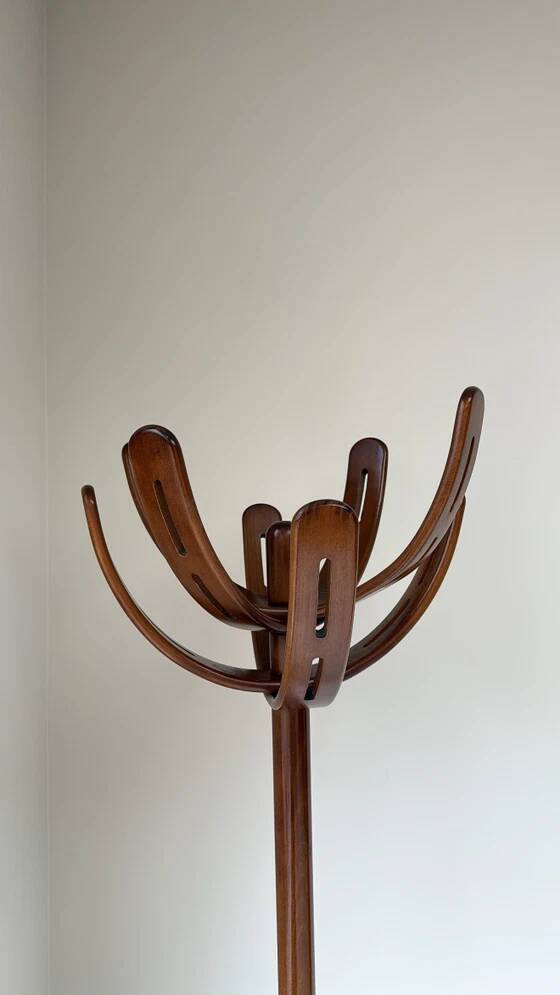 Vintage wooden ‘Cactus’ coat rack by Pallavisini