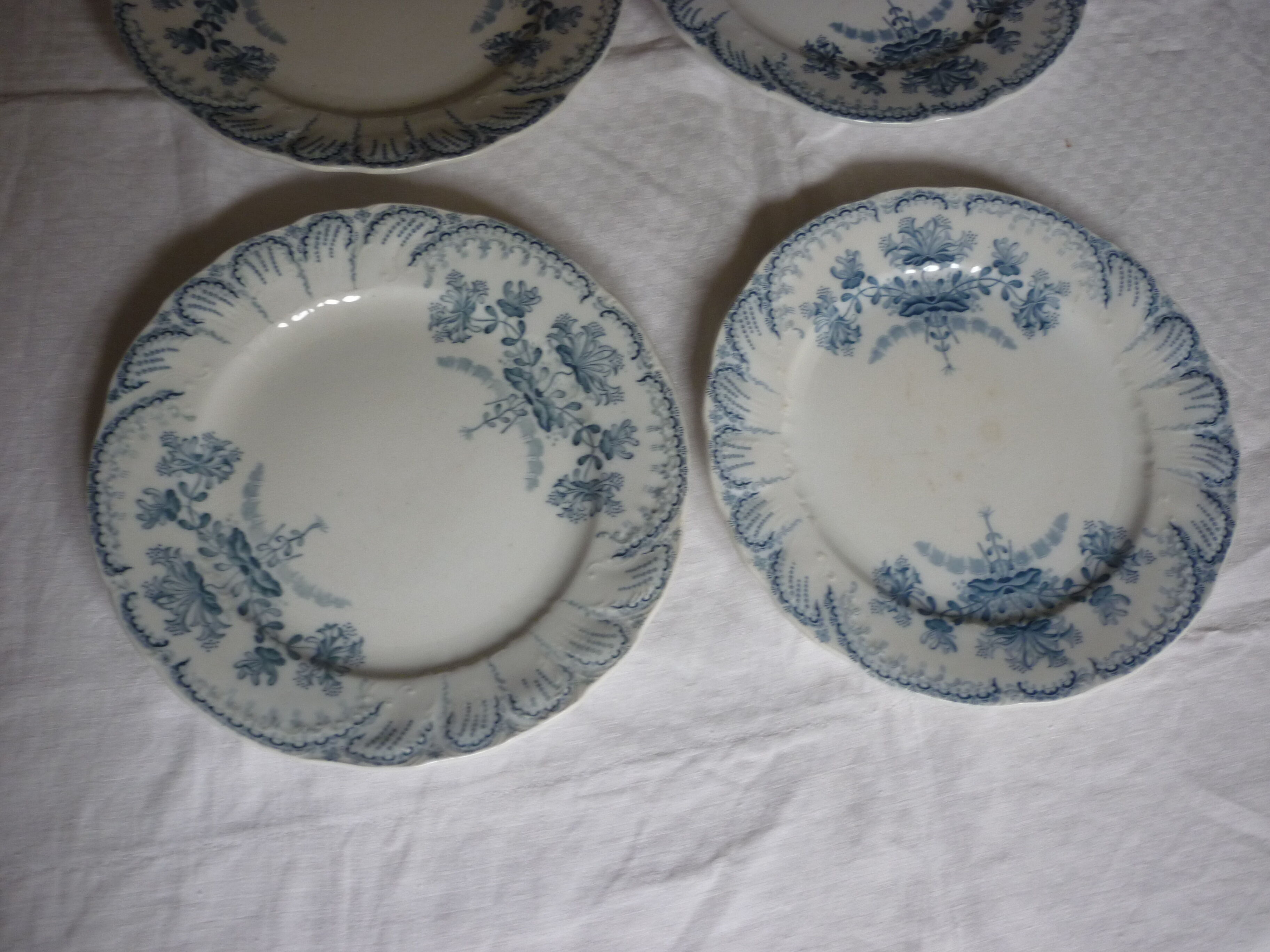 6 st Amand flat plates model Regence