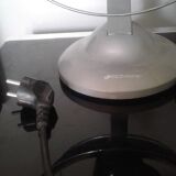 Functional Bionaire fan