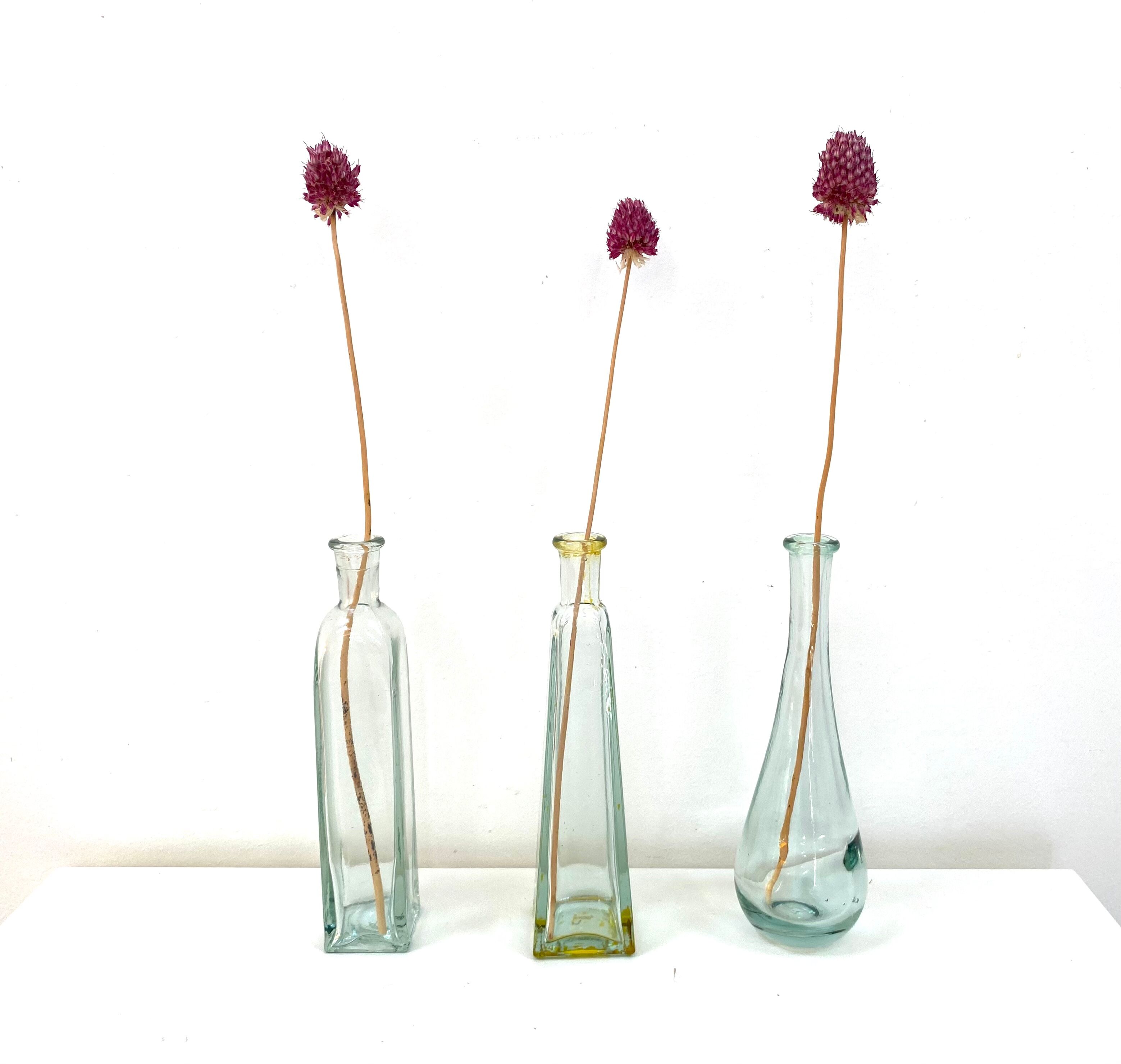 Set of 3 soliflores vase bottles