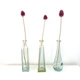 Set of 3 soliflores vase bottles