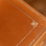 Furniture Cardboard chiffonnier leather patina fawn struck with iron 5 drawers