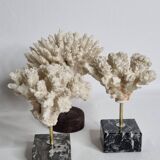Set of three old white corals on base, 16 cm