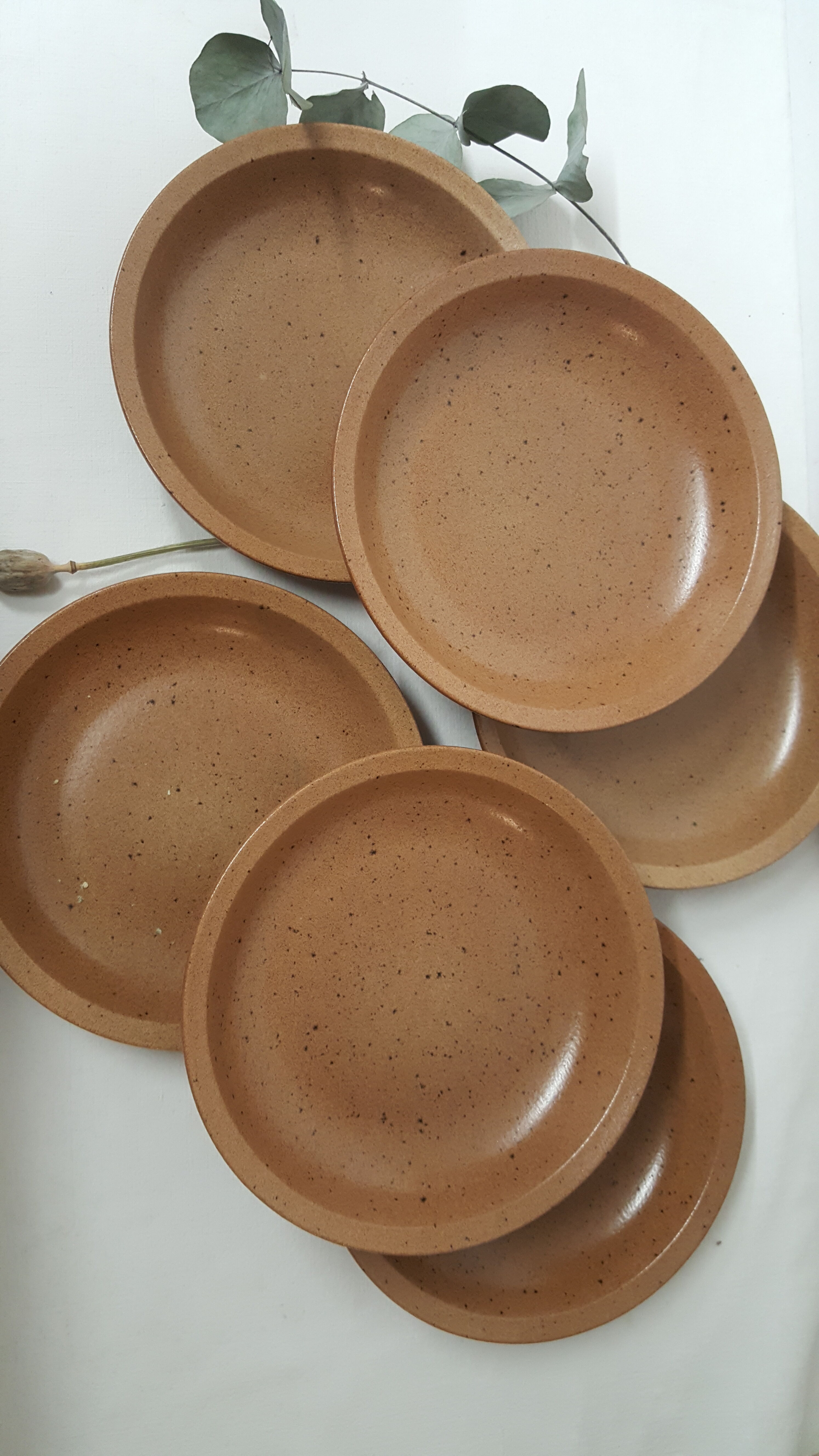 6 assiettes creuses en grès de Bourgogne Sarreguemines