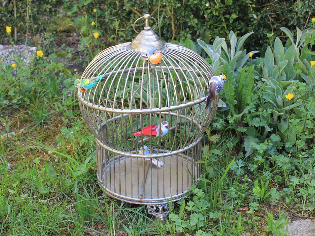 Metal bird cage