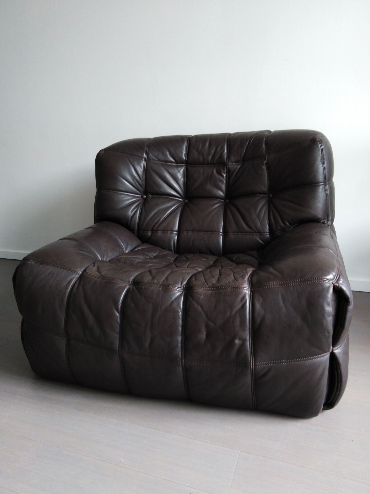 Kashima lounge chair by Michel Ducaroy for Ligne Roset, 1980