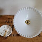 Toothed opaline suspension